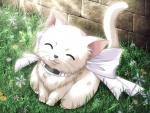 sao_phải_xắn's Avatar