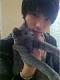 cassie_YJ